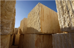 Amarillo Fosil - Yellow Fossil Blocks