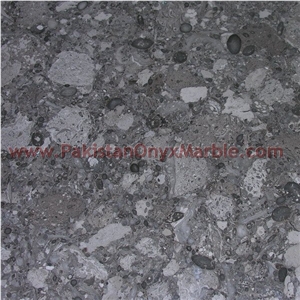 Export Quality Oceanic Gemstone Corel Marble Tiles