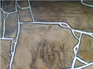 Fossil Quartzite Flagstone, Brown Quartzite Flagstone