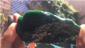 Jadeite and Omphacite Jades