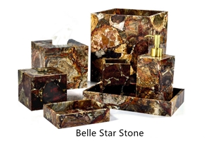 Petrified Wood Precious Stone Bathroom Accessories